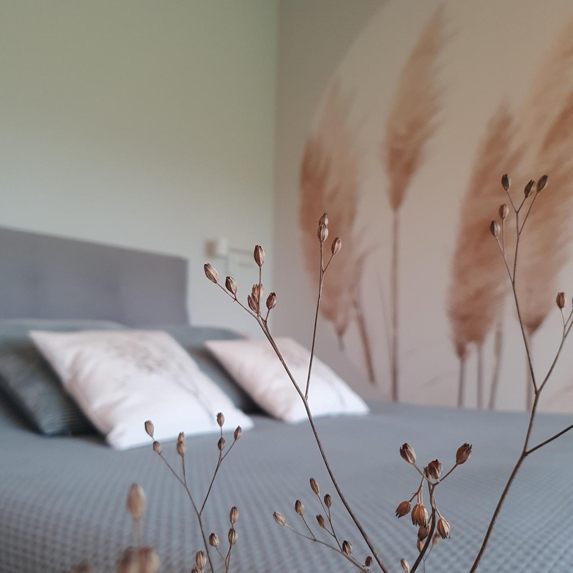 Bed and Breakfast Hippe Schuur Tytsjerk Екстер'єр фото